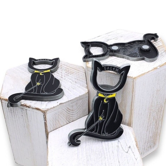 Salem Fridge Magnet Massachusetts Witch Cat Souvenir Travel Halloween US States - Picture 2 of 4